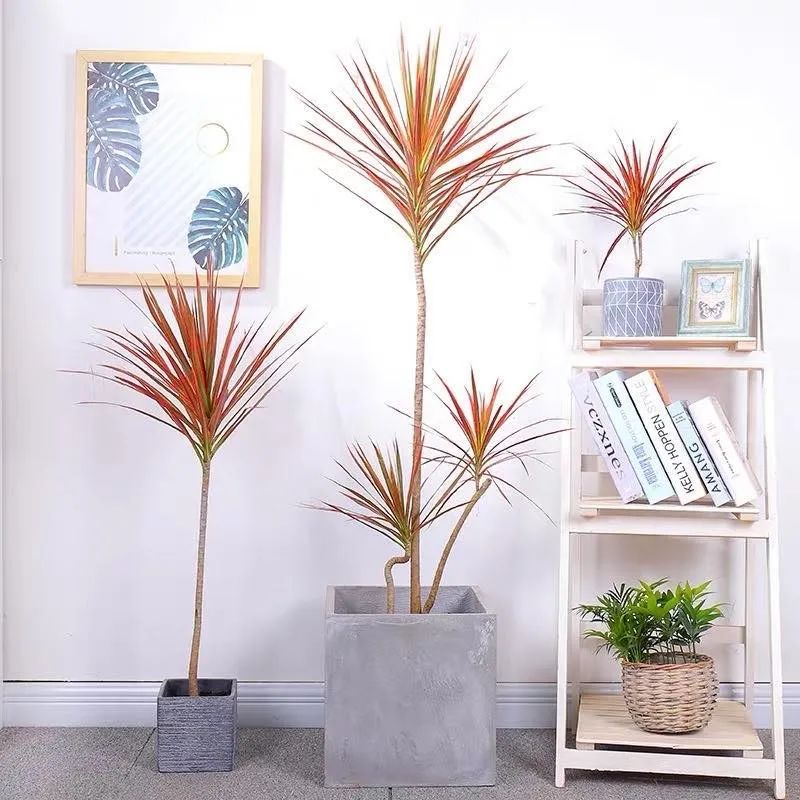 室内清除甲醛的花,吸甲醛又无毒的花