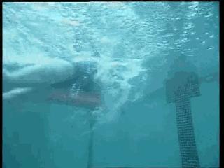 自由泳滚翻转身蹬壁,前滚翻动作练习方法步骤