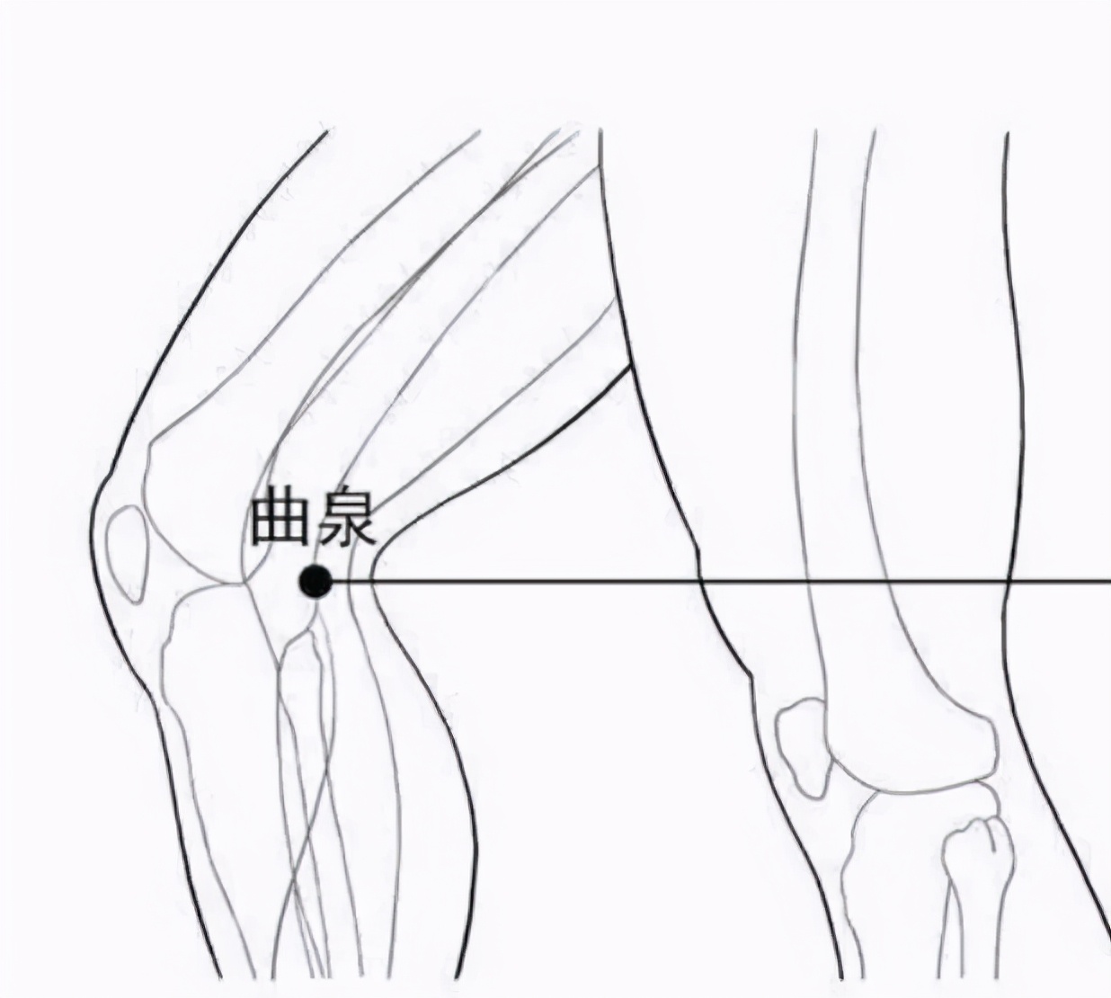 按穴位会有副作用吗,相当于杞菊地黄丸的穴位