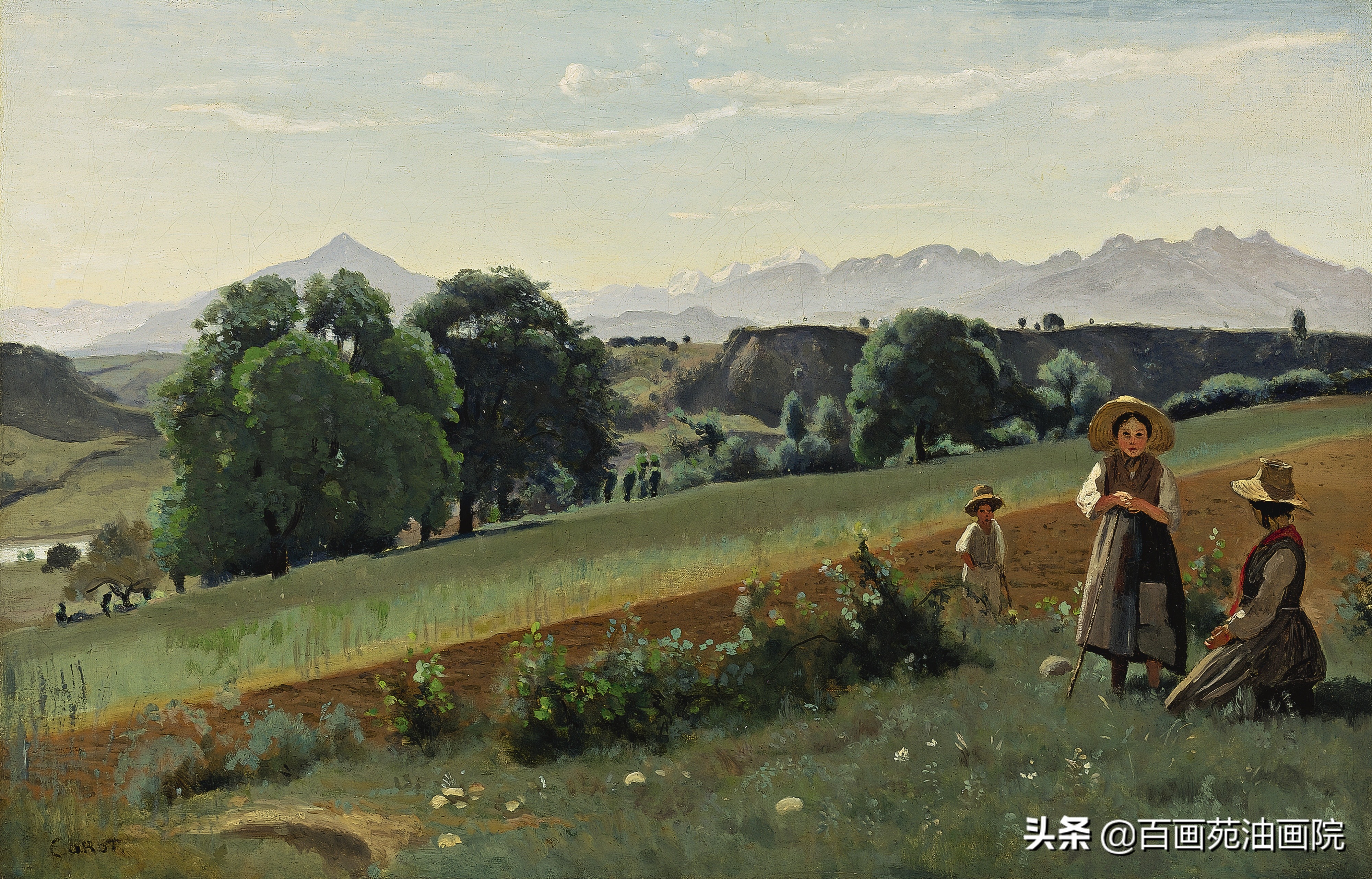 灰色和黄色搭配的油画,入门油画调色笔记