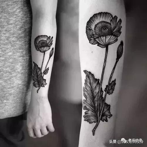 纹身素材网站,纹身素材大全图片白底