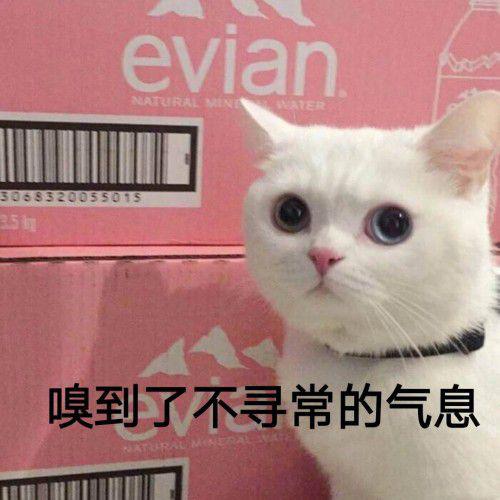 搜狗输入法自定义工具，治好了我的吵架失语症