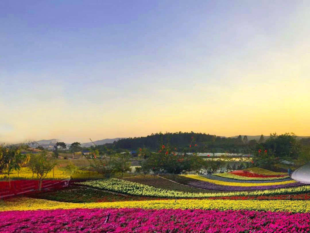 花果山芳香小镇,广州花果山芳香小镇门票多少