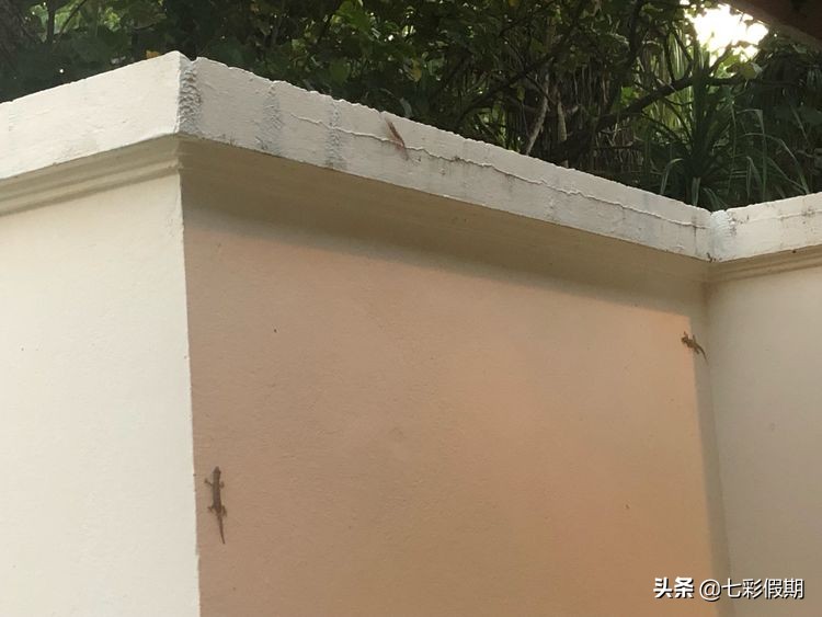 马尔代夫一家人旅行攻略,马尔代夫旅游一家四口跟团