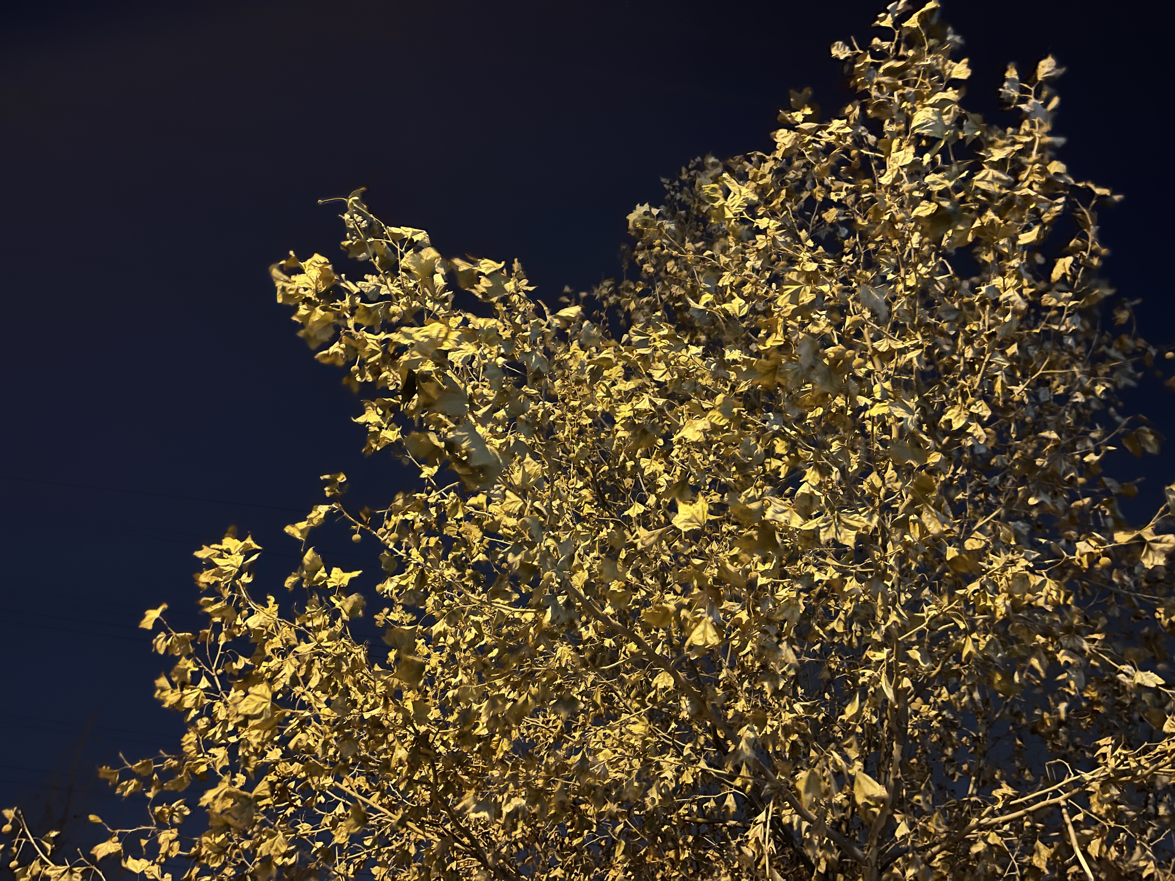 苹果12promax和三星note20ultra,iphone12promax夜间拍照对比