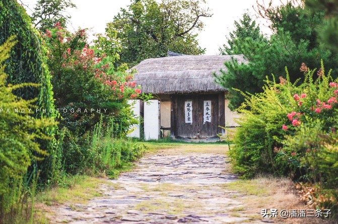 去韩国不购物回来的感受,去韩国一定要买什么