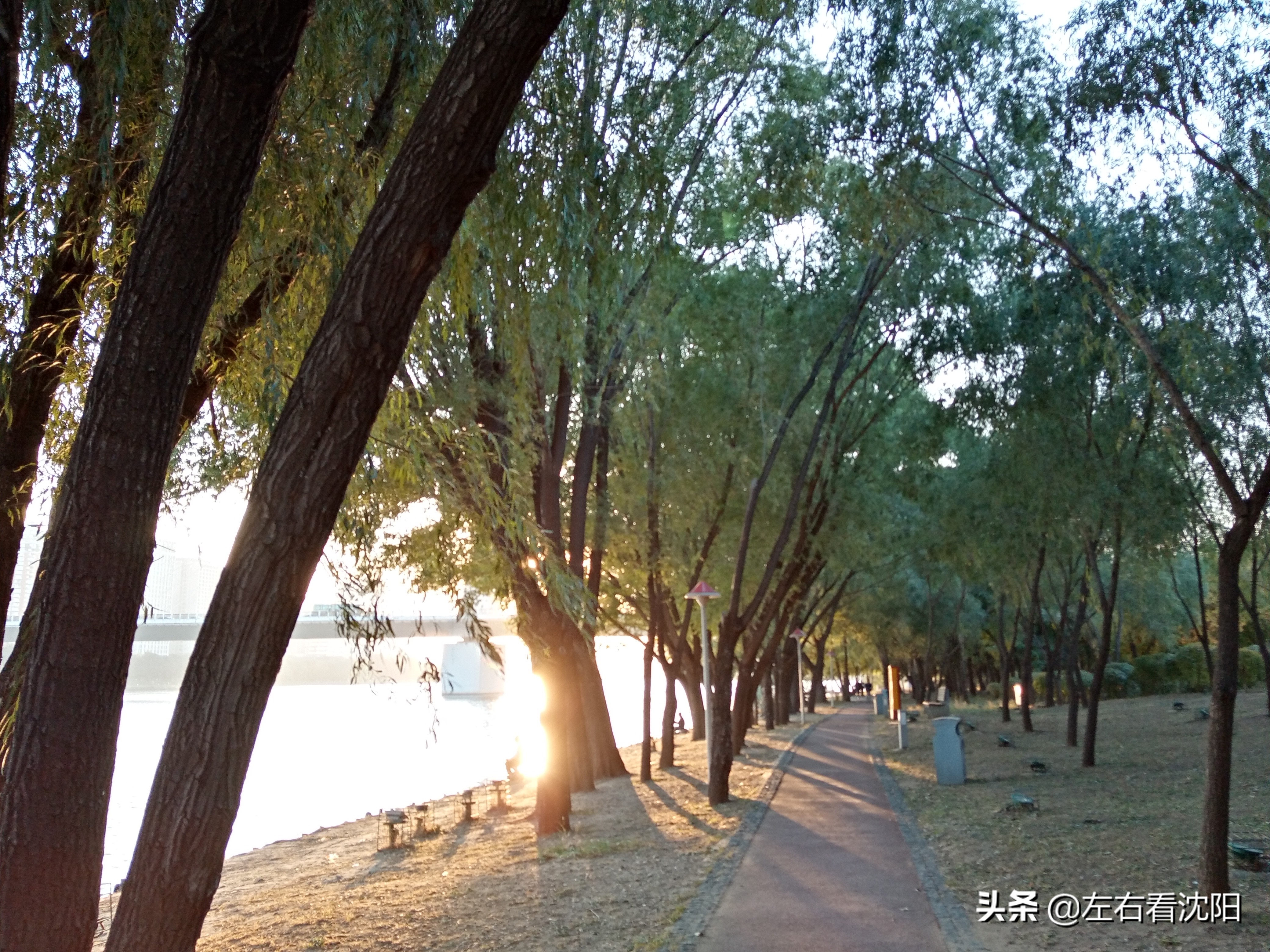 沈阳五里河公园攻略,沈阳五里河公园现在开吗