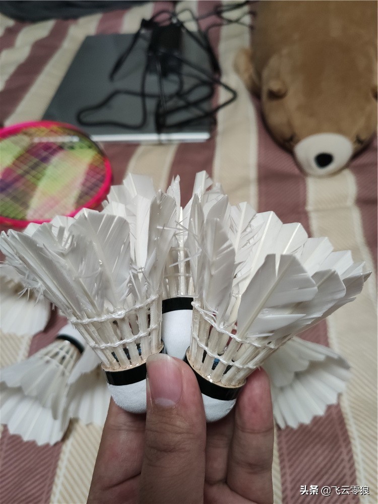 柏圣羽毛球测评,飞云零狼羽毛球怎么样