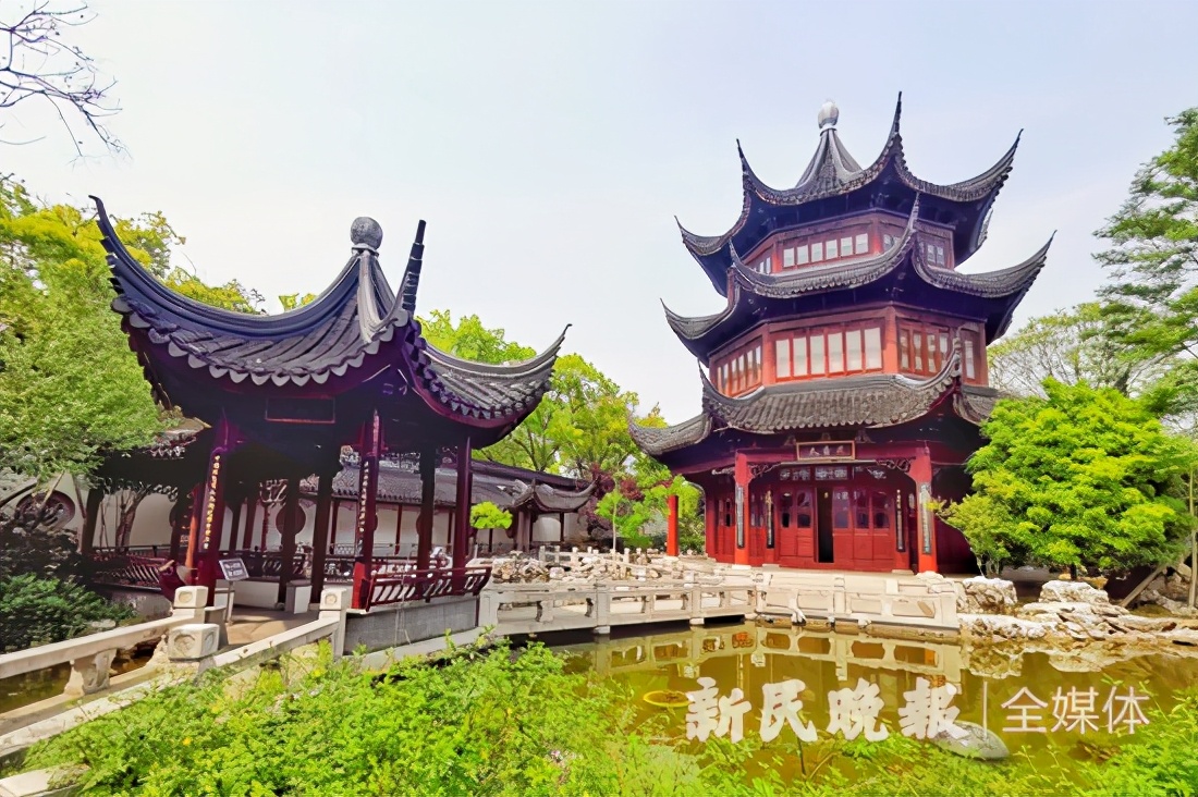 新老朋友因围棋在同里相聚属于天元赛的美妙“棋”缘依然未完待续