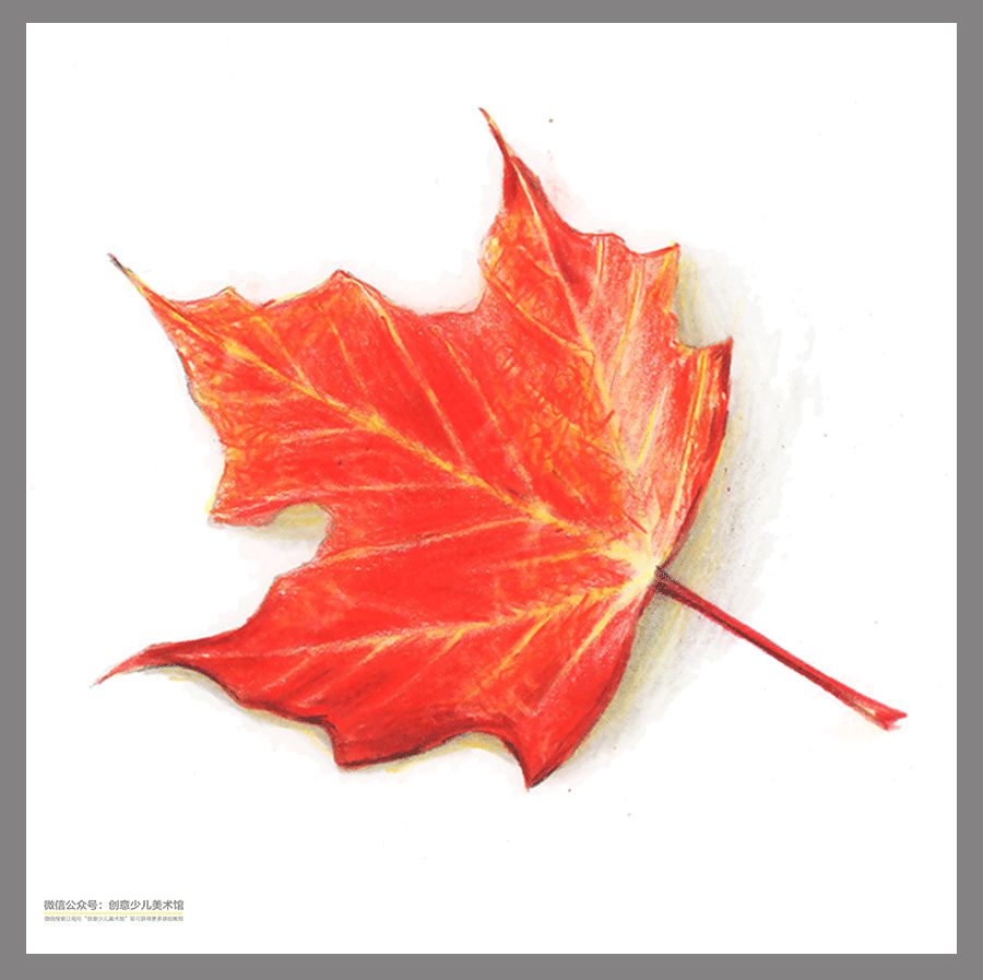 彩铅花卉作品临摹素材,动漫人物彩铅素材图片