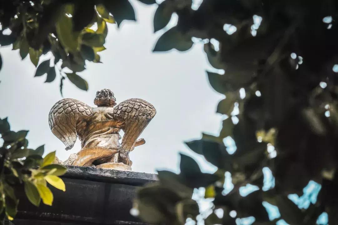 荷花池vs春熙路,成都荷花池攻略技巧