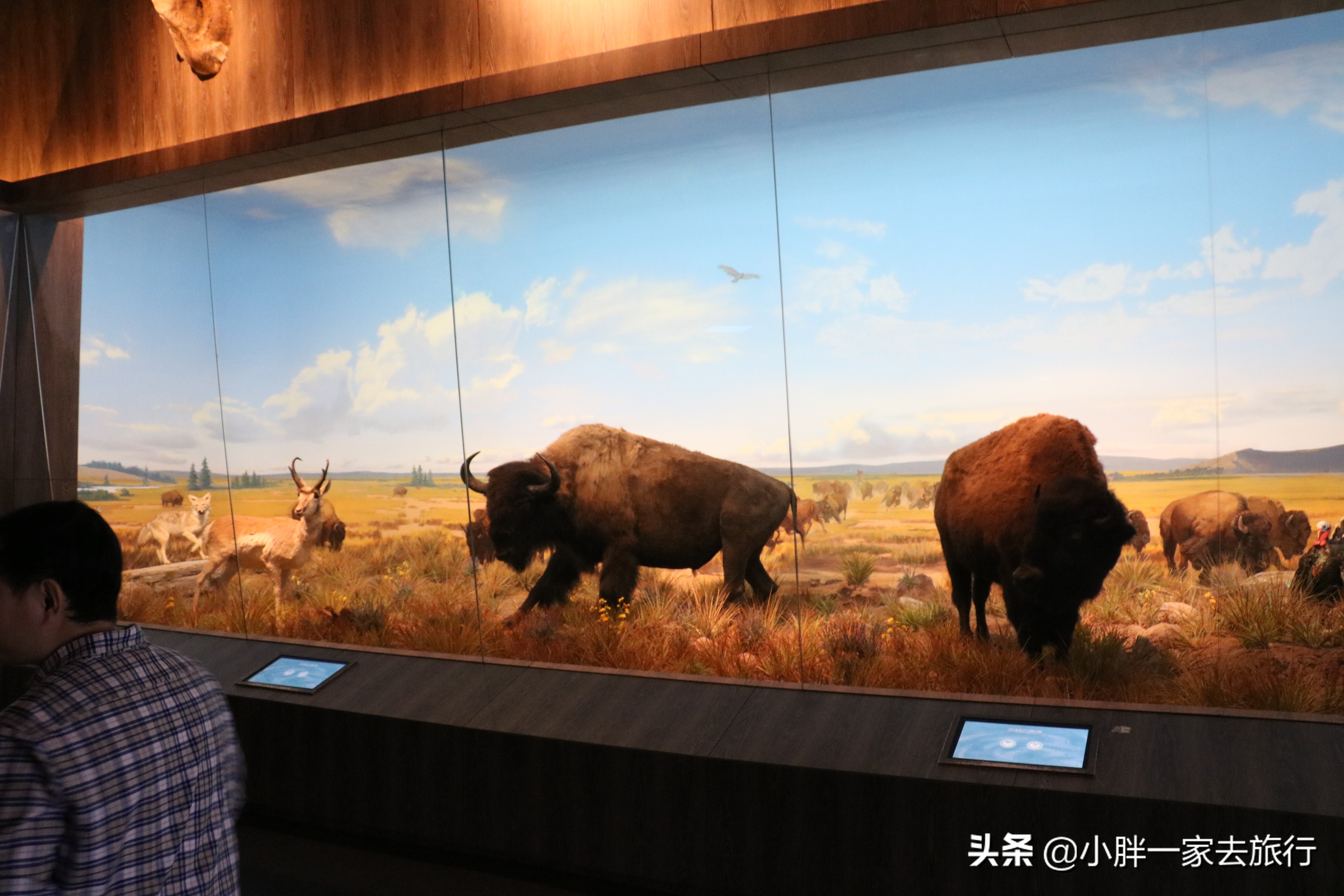 最大的北京海洋博物馆,海上故宫国家海洋博物馆