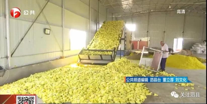 来赴一场雪乡长白山之约,来赴一场冬日的黄金之约