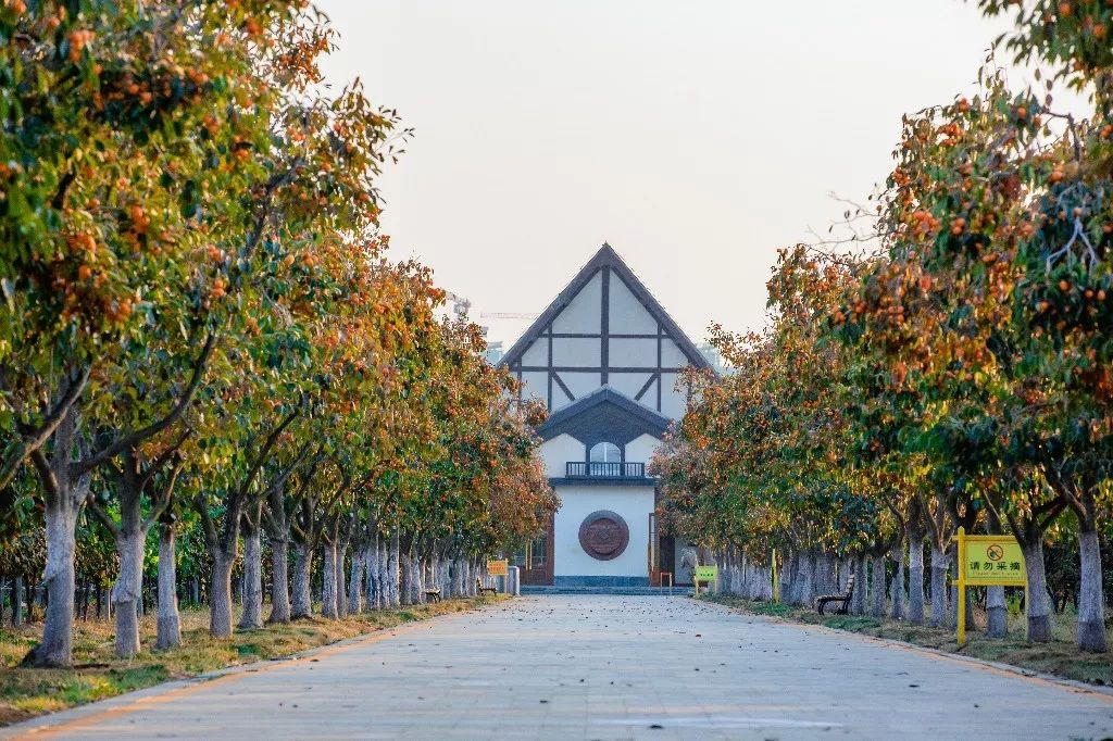 一路遐思入初冬，美好如约而至——张裕卡斯特酒庄