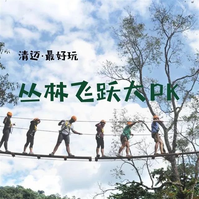 国际茶日共品茶香茶韵,国际茶日共品茶韵