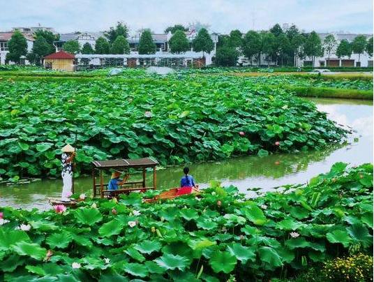 成都周边免费森林公园,成都十五个免费公园