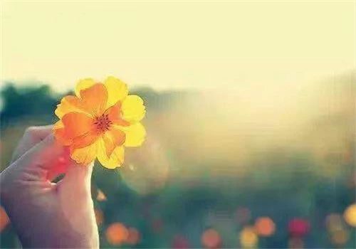 越来越孤独的朋友圈,越活越孤独朋友圈