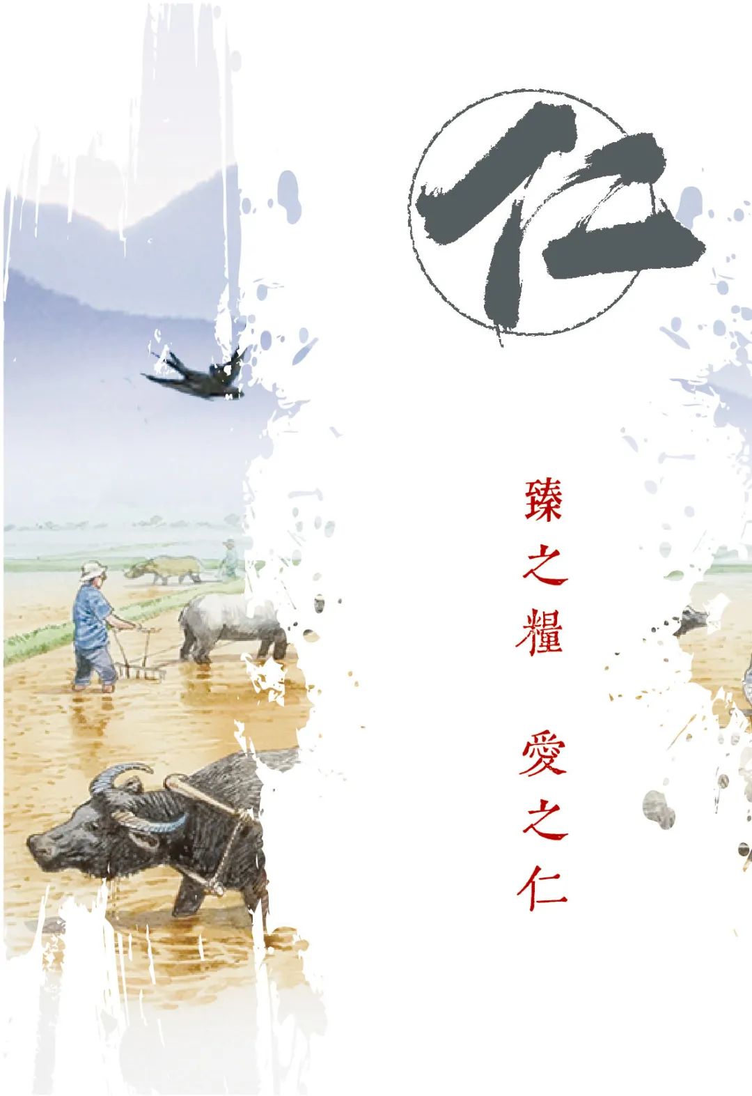 正宗东北五常米,喜作家居产品