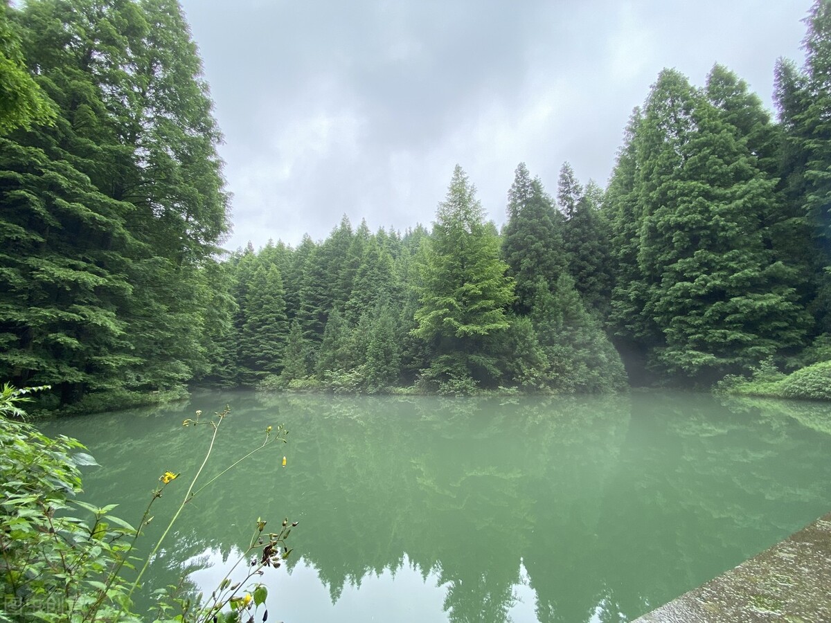 重庆适合亲子游2天一晚避暑,重庆周边的四川避暑胜地有哪些