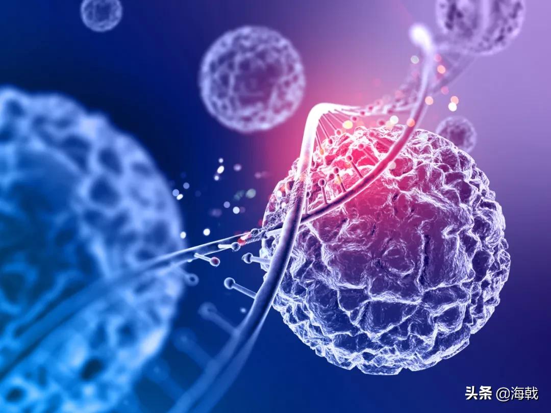 防非瘟最佳消毒方案,非瘟预防最佳方案