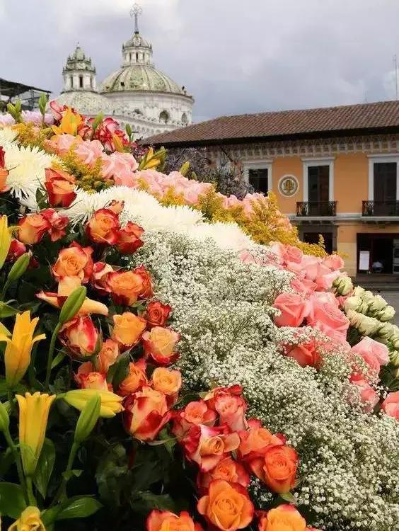 亚洲最大花市宛如仙境,中国最牛的花市
