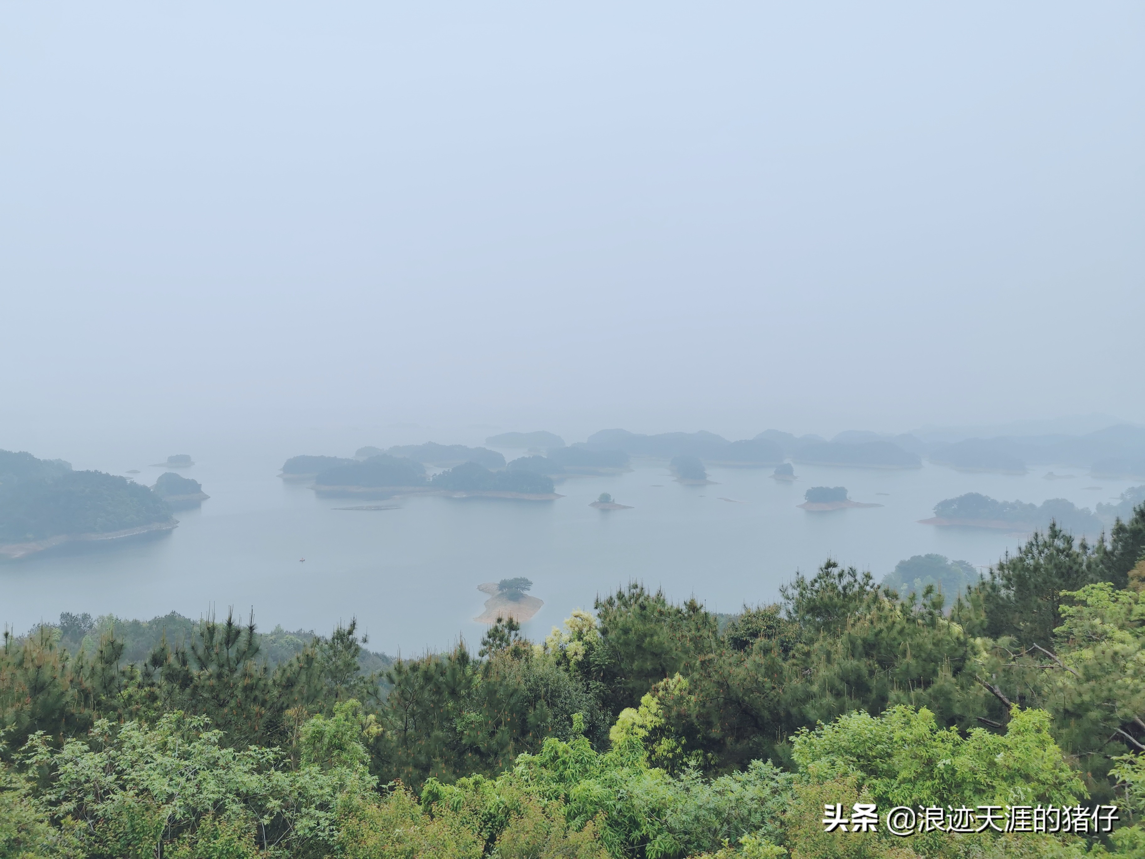 千岛湖疫情政策,千岛湖景区半价优惠