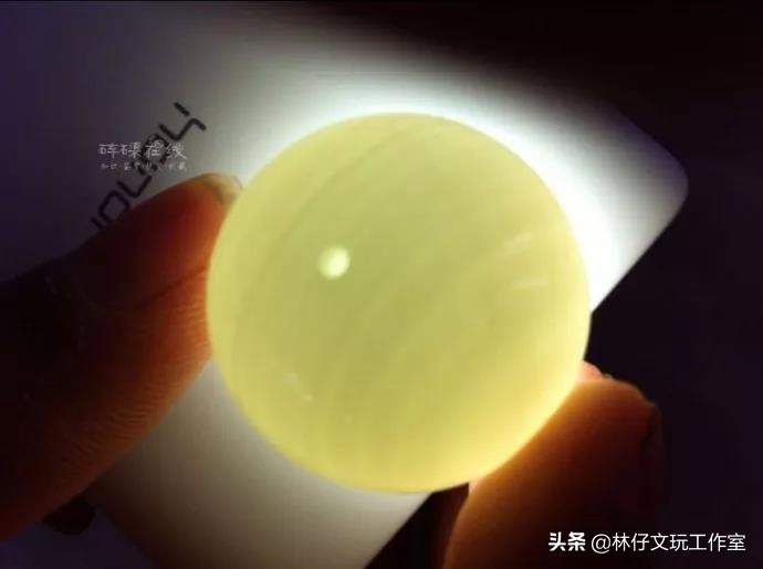 真假黄金砗磲对比照片,黄金砗磲真假鉴别方法