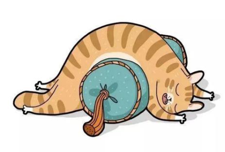猫跑着跑着突然猝死,猫猝死的症状