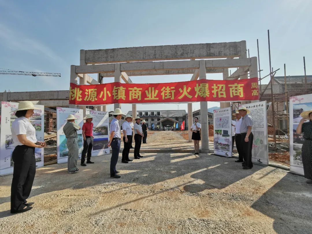 桃源小镇2025规划图,桃源最新消息发展