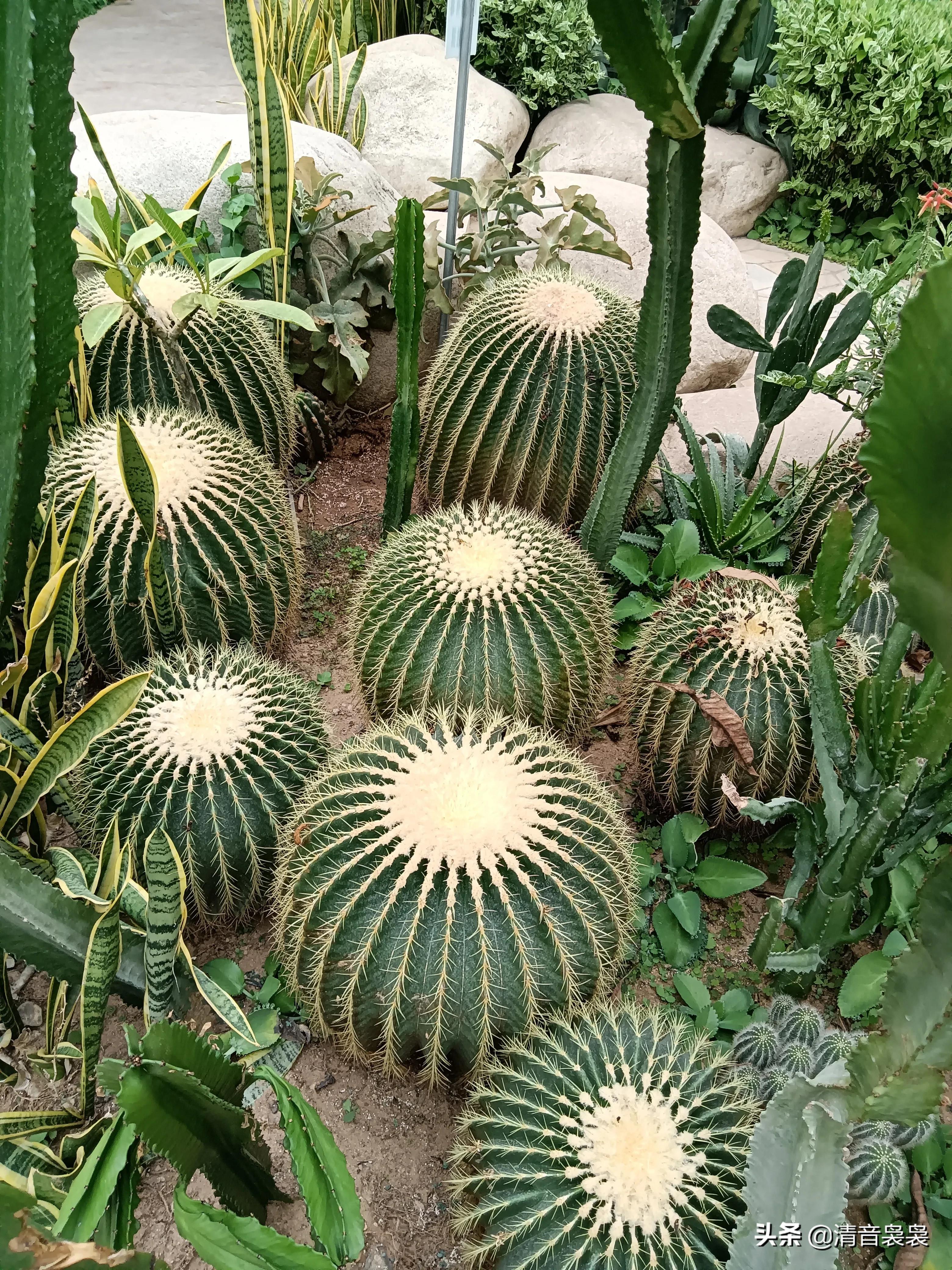 10年前西安世博园,现在世博园怎么样了