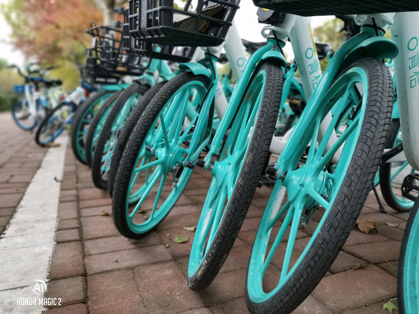 荣耀magic4ultimate拍照,荣耀magic4的拍照排名