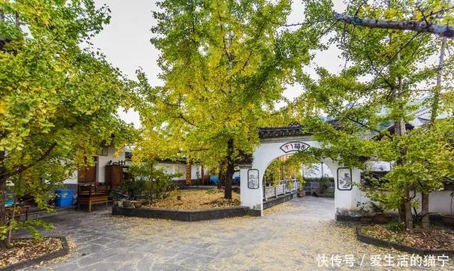 腾冲从早到晚旅游攻略,腾冲7月旅游攻略