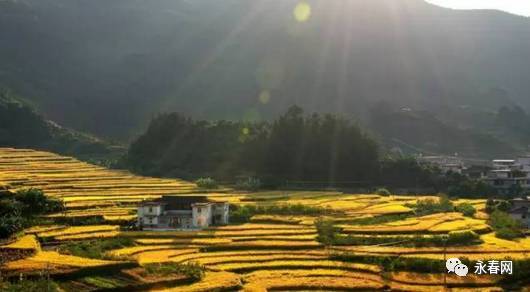 永春的春天是一个异常美丽的地方,永春有哪些地方