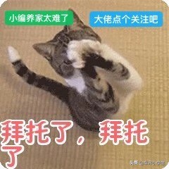 新款奥迪a5两门轿跑,推荐一款全新奥迪a5颜值轿跑