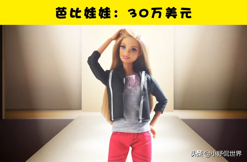 在这个世界上，你可能从未听说过的10个最为昂贵的物品