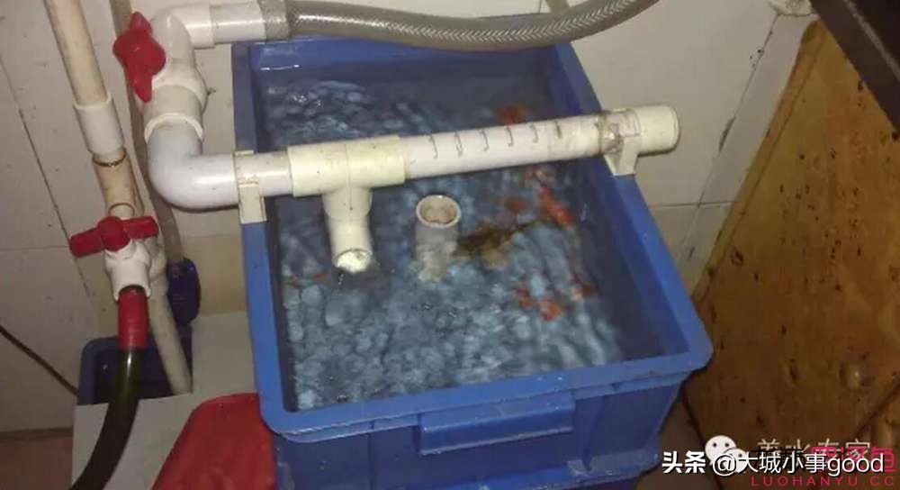 过滤棉讲解,物理过滤滤棉选择