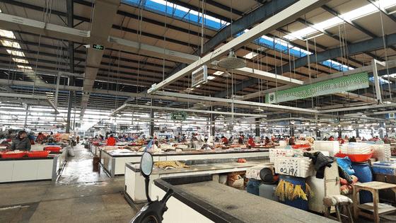 有了这座小县城,封海也封不住浙江人吃海鲜的嘴