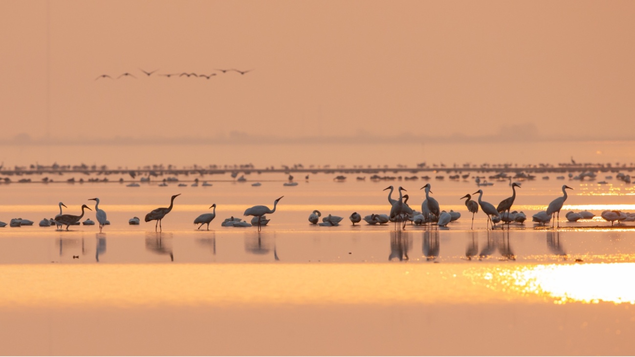 用镜头捕捉瞬间用光影记录感动,用镜头记录人生用心灵感悟美好