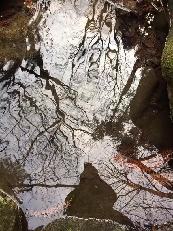 手拍世界完整版视频,手拍世界作品专集