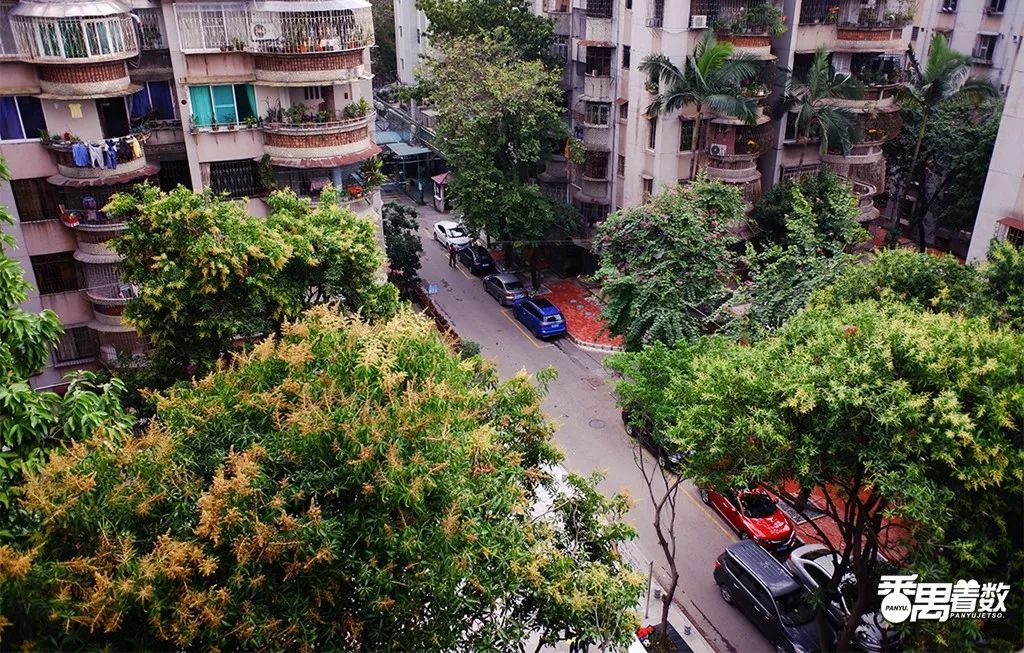 在番禺，住在康乐园的人最幸福！