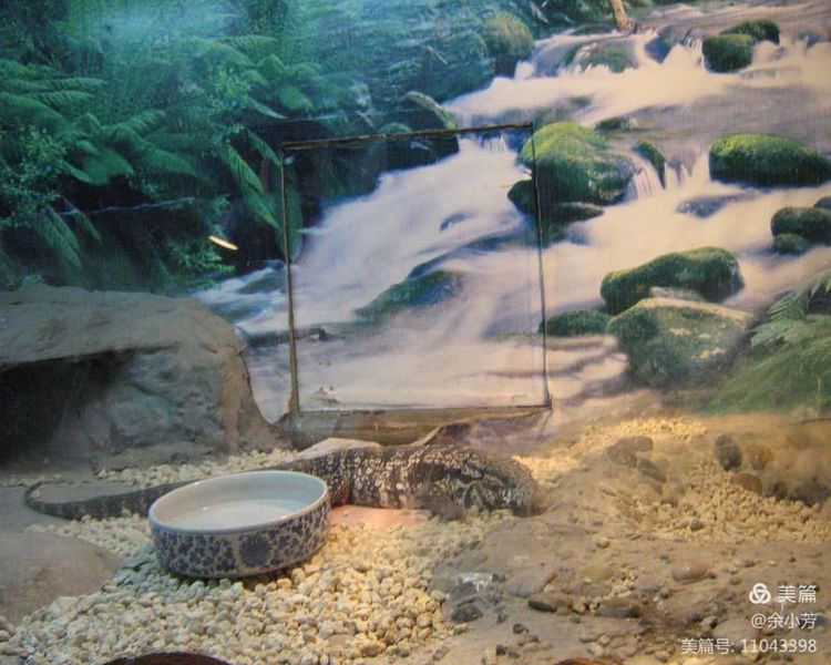 上海昆虫馆,上海昆虫博物馆研学