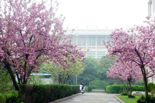 菏泽高中教学质量排名,菏泽市最好的高中排名前十名