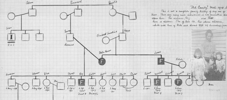 美国夺取印第安人土地的方式,美国对印第安人的灭族罪行