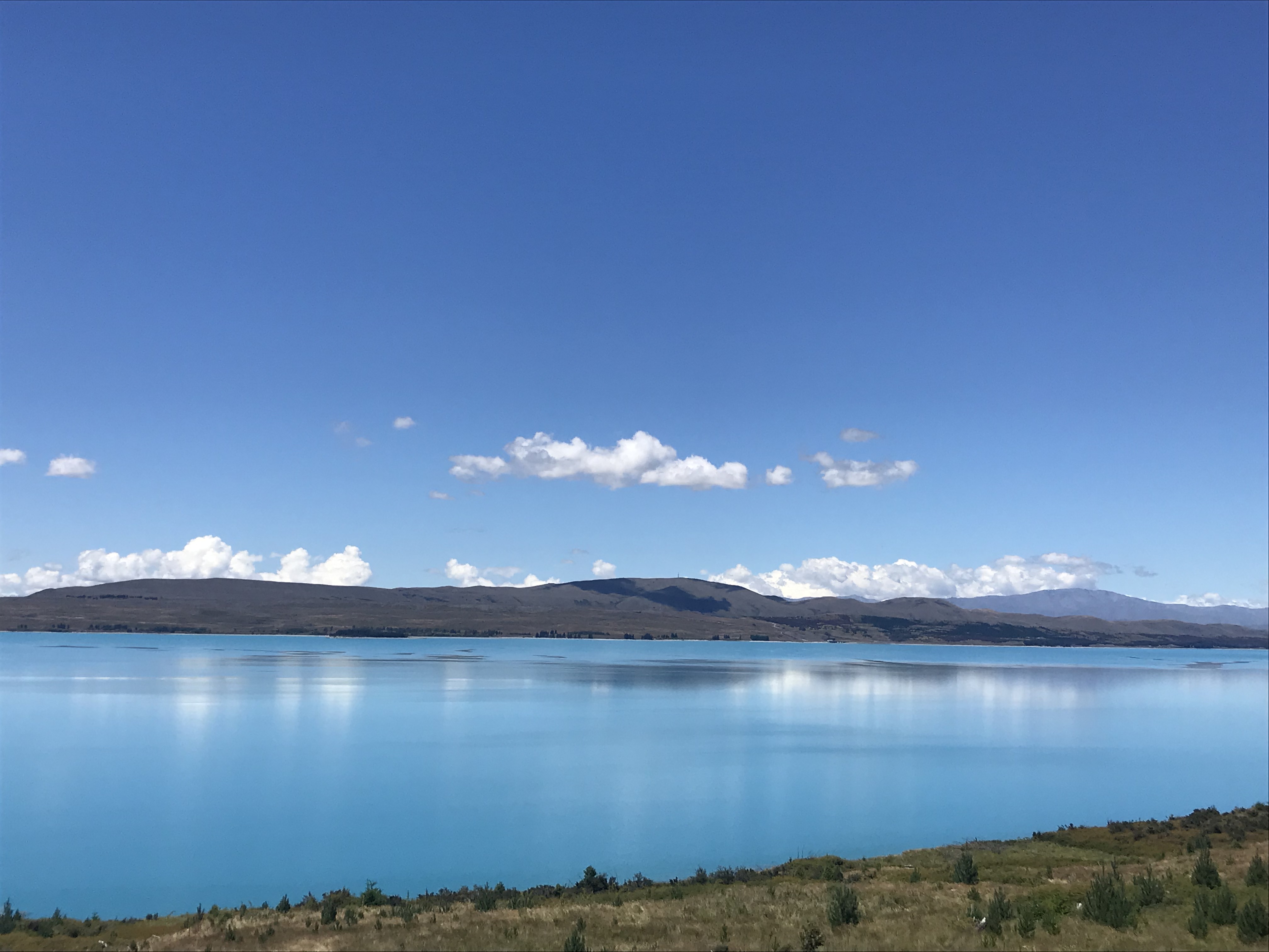 新西兰5年签证攻略,白本护照怎么申请申根签证