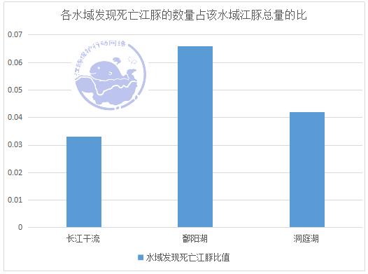 长江中已消失的珍稀动物,最新我国的十大野生动物