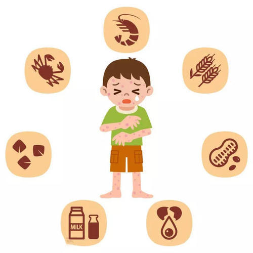 关于板蓝根介绍,板蓝根灭绝经历