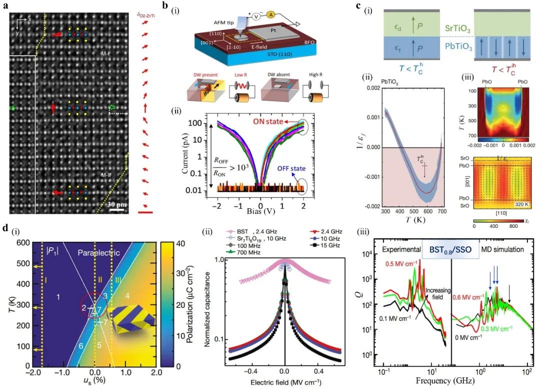 Adv.Mater:铁性薄膜和异质结拓扑结构的研究进展