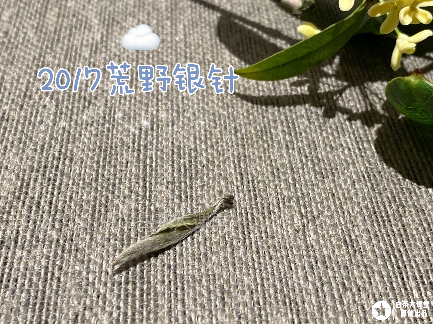 福鼎老白茶老银针,银针老白茶哪款最好