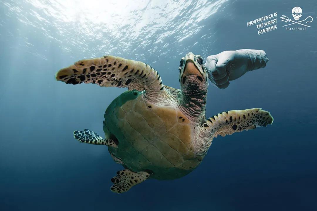 广告设计吸引人的图片,广告创意设计欣赏作品