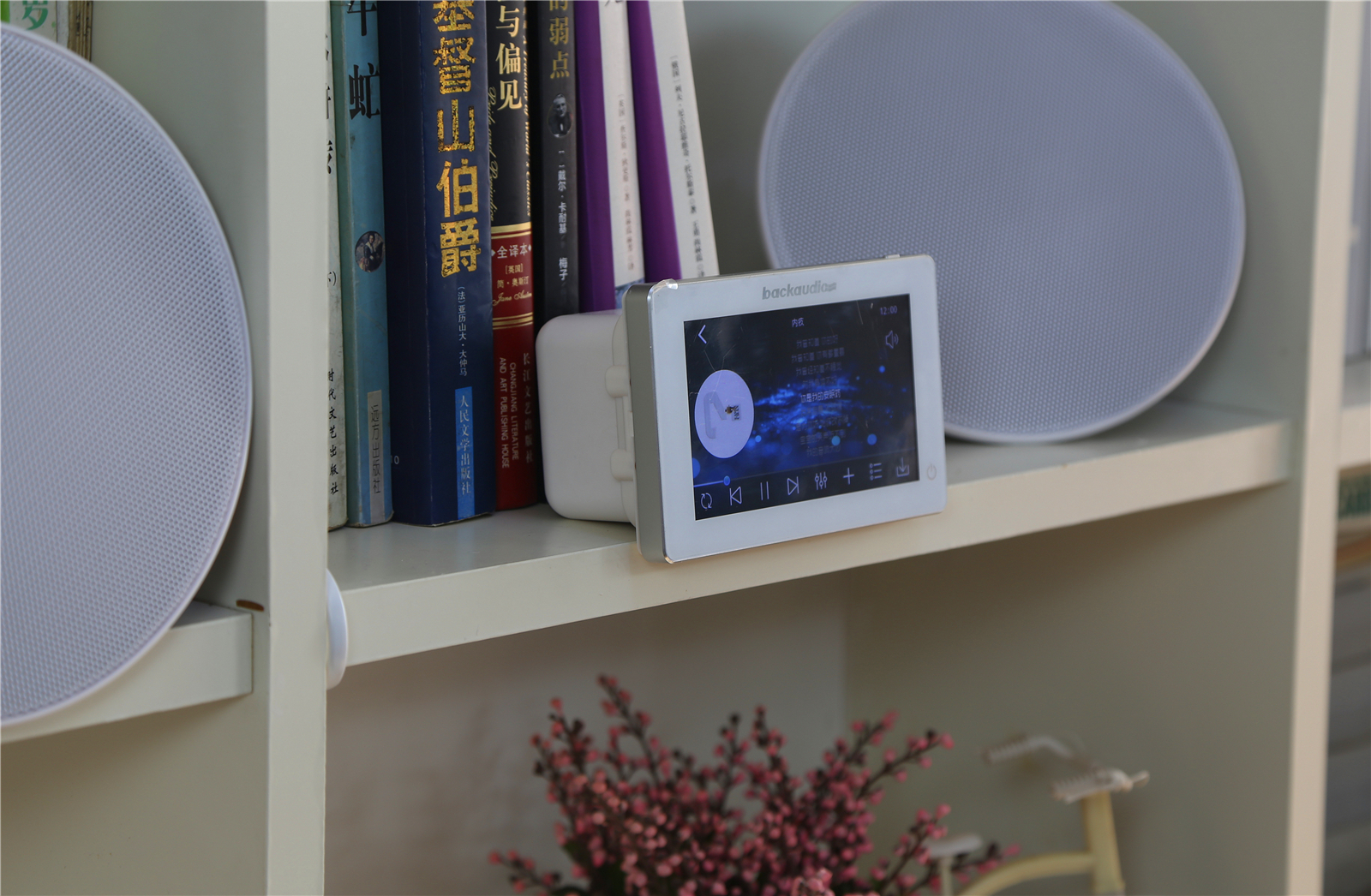 泊声背景音乐系统安装,泊声家庭背景音乐使用技巧